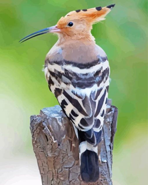 Hoopoe Bird Back Diamond Paintings