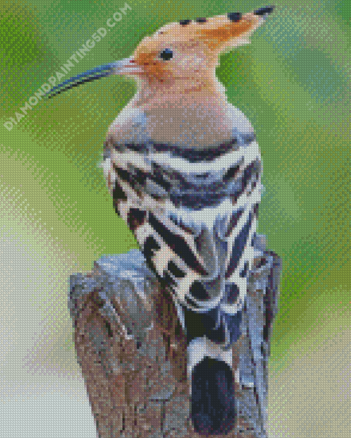 Hoopoe Bird Back Diamond Paintings