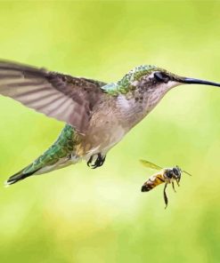 Hummingbird And Bee Diamond Paintings