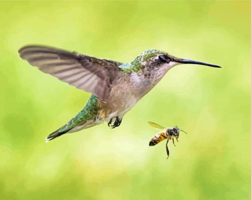 Hummingbird And Bee Diamond Paintings