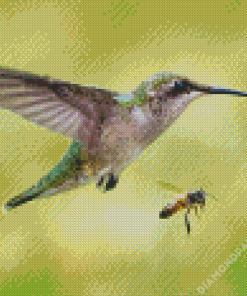 Hummingbird And Bee Diamond Paintings