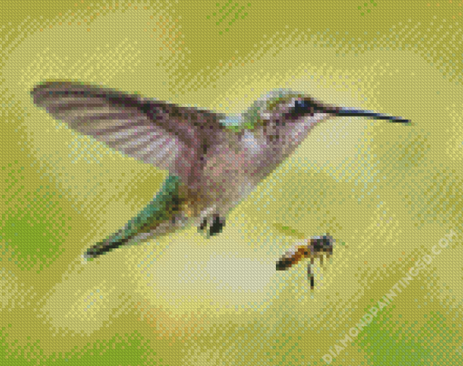 Hummingbird And Bee Diamond Paintings