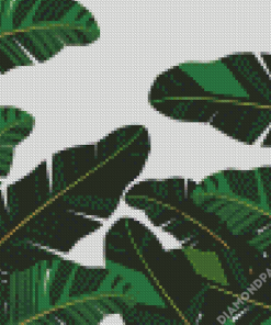 Illustration Banana Leaves Diamond Paintings