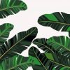 Illustration Banana Leaves Diamond Paintings