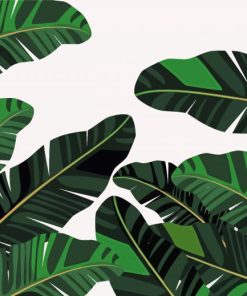 Illustration Banana Leaves Diamond Paintings