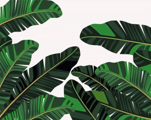 Illustration Banana Leaves Diamond Paintings