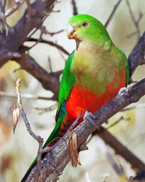 King Parrot On Branch Diamond Paintings