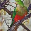 King Parrot On Branch Diamond Paintings