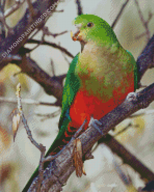 King Parrot On Branch Diamond Paintings