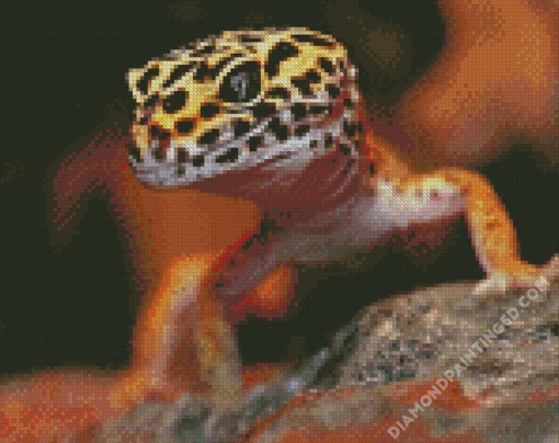 Leopard Gecko Diamond Paintings