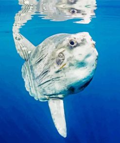 Mola Sunfish Diamond Paintings