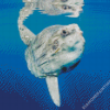 Mola Sunfish Diamond Paintings