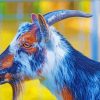 Nigerian Dwarf Goat Side Profile Diamond Paintings