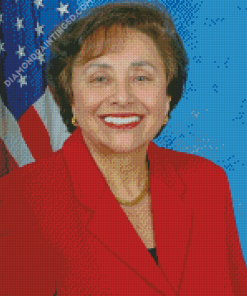 Nita Lowey American Politician Diamond Paintings