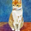 Orange Tabby Cat Diamond Paintings