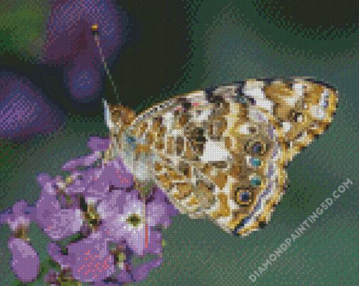 Painted Lady Insect Diamond Paintings