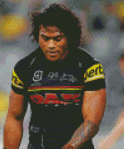 Penrith Panthers player Diamond Paintings