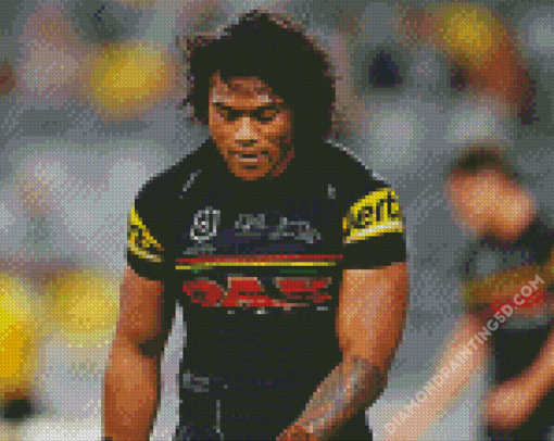 Penrith Panthers player Diamond Paintings