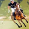 Polo Player Art Diamond Paintings