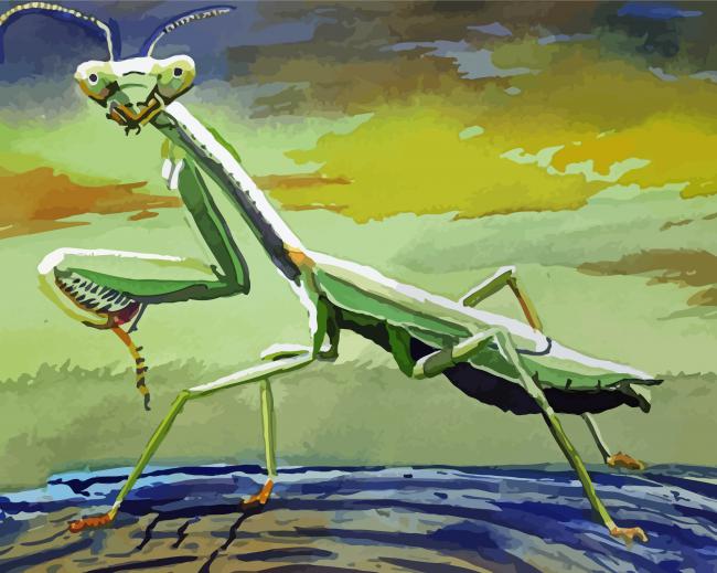 Praying Mantis Art Diamond Paintings