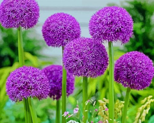 Purple Allium Flowers Diamond Paintings