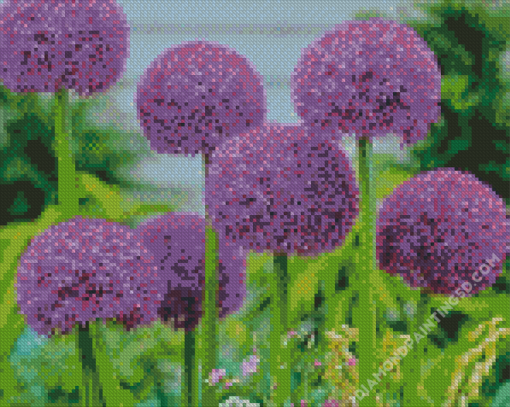 Purple Allium Flowers Diamond Paintings