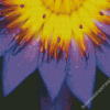 Purple Yellow Flower Diamond Paintings