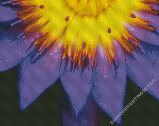 Purple Yellow Flower Diamond Paintings