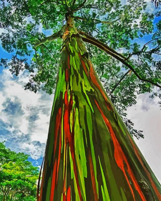 Rainbow Eucalyptus Tree Diamond Paintings