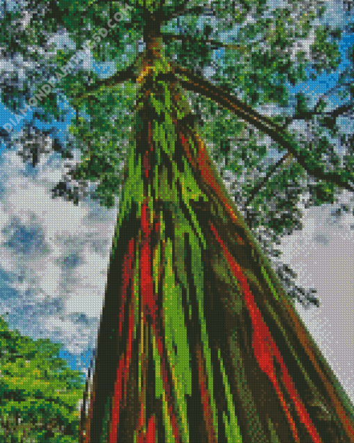 Rainbow Eucalyptus Tree Diamond Paintings