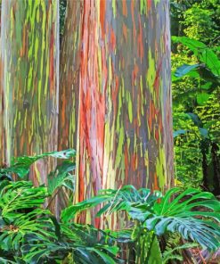 Rainbow Eucalyptus Trees Diamond Paintings