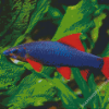 Rainbow Shark Diamond Paintings