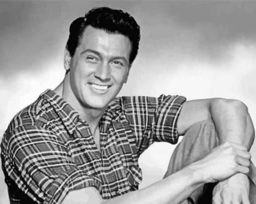 Rock Hudson Diamond Paintings