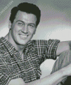 Rock Hudson Diamond Paintings