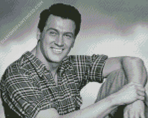 Rock Hudson Diamond Paintings