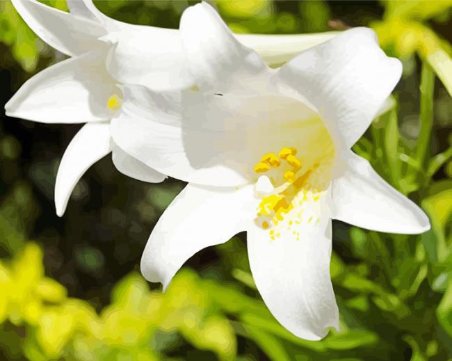 Single White Lily Close Up Diamond Paintings