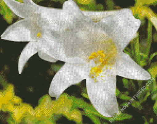 Single White Lily Close Up Diamond Paintings