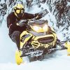 Ski Doo Diamond Paintings