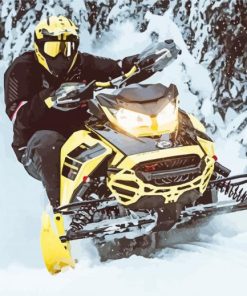 Ski Doo Diamond Paintings