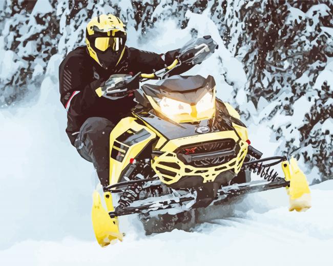 Ski Doo Diamond Paintings