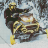 Ski Doo Diamond Paintings