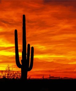 Sunset Saguaro National Park Diamond Paintings