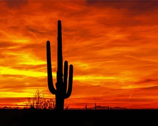 Sunset Saguaro National Park Diamond Paintings