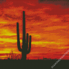 Sunset Saguaro National Park Diamond Paintings