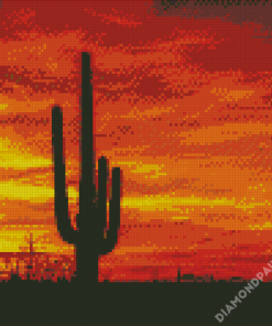 Sunset Saguaro National Park Diamond Paintings