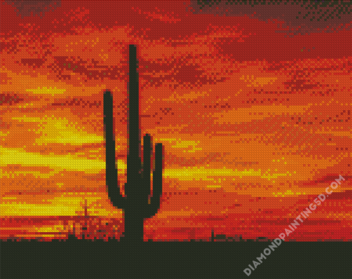 Sunset Saguaro National Park Diamond Paintings