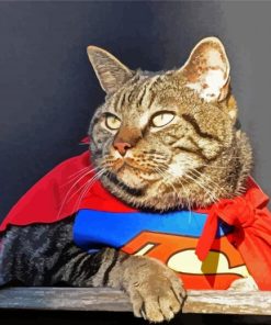 Superhero Cat Diamond Paintings