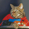 Superhero Cat Diamond Paintings