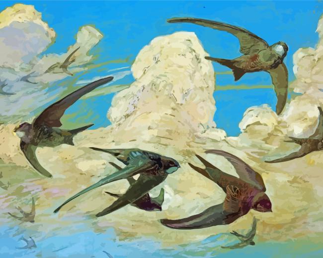 Swifts Birds Diamond Paintings