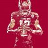 Texas A M Aggies Football Player Art Diamond Paintings